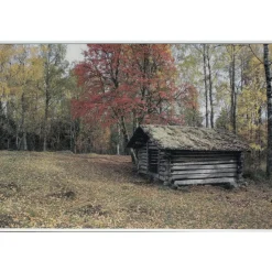 Akustiikkataulu Still T 60x40 cm valkoiset puukehykset eri kuvia (myös omalla kuvalla) - Yeseco Clearance