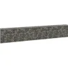 FinePRICE Gabion-kivikori kansilla galvanoitu teräs 300x30x50 cm