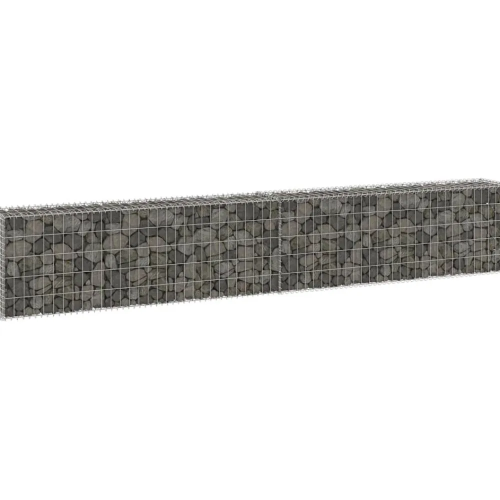 FinePRICE Gabion-kivikori kansilla galvanoitu teräs 300x30x50 cm