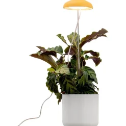Kasvivalaisin Iris, 5W, 240lm, IP20 - Airam Hot