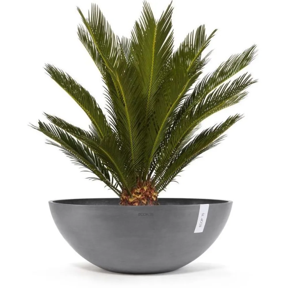 Ecopots Kukkaruukku Vienna, eri kokoja ja värejä Clearance