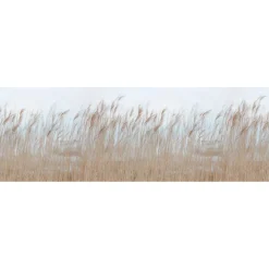 Rebel Walls Kuvatapetti Swaying Reed non-woven mittatilaus Sale