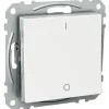 Schneider Electric 2-kytkin Exxact 2X UKJ valkoinen