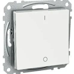 Schneider Electric 2-kytkin Exxact 2X UKJ valkoinen