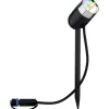 LED-Ulkospottivalaisin Plug & Shine SpotPike RGBW antrasiitti - Paulmann Discount