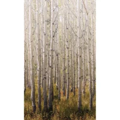 Maisematapetti One Roll One Motif Birch Tree, 1.59x2.80m, metsä, non-woven - Tapetit.fi Online
