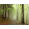 Maisematapetti Forest Path, metsä, non-woven, mittatilaus - Rebel Walls Outlet