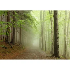 Maisematapetti Forest Path, metsä, non-woven, mittatilaus - Rebel Walls Outlet