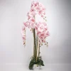 Home4you Orkidea GARDEN QUEEN K124 cm, vaaleanpunainen Outlet