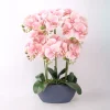 Orkidea GARDEN QUEEN K64 cm, vaaleanpunainen - Home4you Outlet