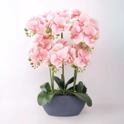 Orkidea GARDEN QUEEN K64 cm, vaaleanpunainen - Home4you Outlet
