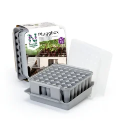 Nelson Garden Pienoiskasvihuone Pluggbox, 220x200 mm Best