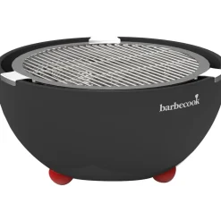 Barbecook Pöytägrilli Joya parila + 4 pihdit Online