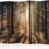 Sermi Autumnal Forest 225x172cm - Artgeist