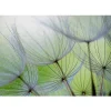 Artgeist Sisustustarra Fleeting moments eri kokoja Clearance