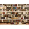 Artgeist Sisustustarra Home library eri kokoja New