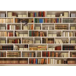 Artgeist Sisustustarra Home library eri kokoja New