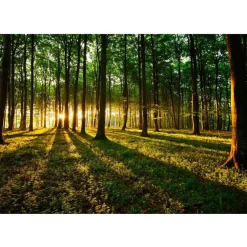 Artgeist Sisustustarra Mystical Morning eri kokoja Outlet