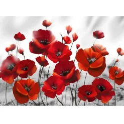 Sisustustarra Poppies in the Moonlight eri kokoja - Artgeist Online