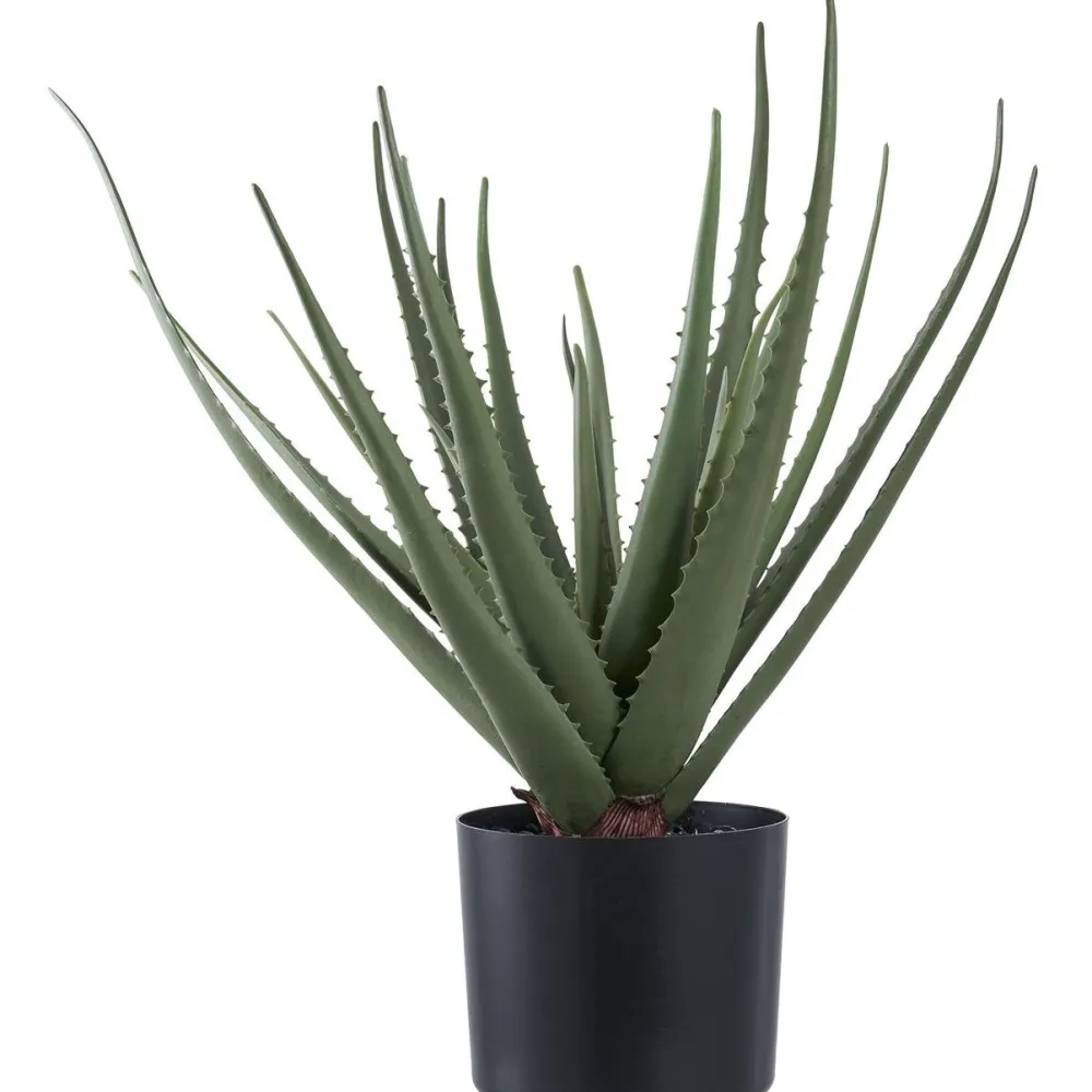 Tekokasvi Aloe Vera, 51cm, vihreä - House Nordic