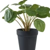 House Nordic Tekokasvi Kilpipiilea, 28cm, vihreä