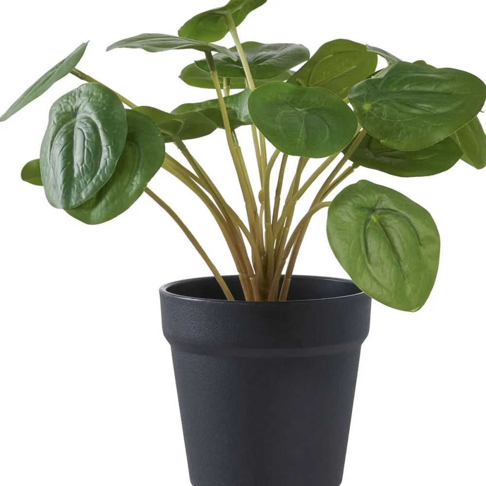 House Nordic Tekokasvi Kilpipiilea, 28cm, vihreä