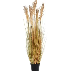 Tekokasvi Sudaninruoho Sorghum Grass, 110cm, ruskea - House Nordic Discount