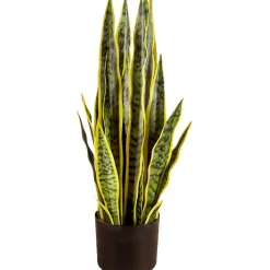 Tekokasvi Snake Plant, 65cm - Lykke