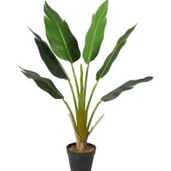 Tekokasvi Strelitzia Tree, 90cm - Lykke Outlet