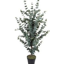 Tekopuu WIND EUCALYPTUS K120 cm, vihreä - Home4you New